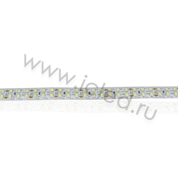 Светодиодная лента LUX class, 3528, 240 led/m, white, 24V, nano IP54 V241