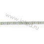 Светодиодная лента LUX class, 3528, 240 led/m, white, 24V, nano IP54 V241