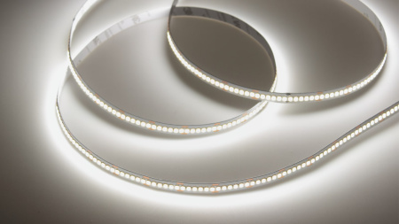 Светодиодная лента Class Premium, 2835, 240 led/m, однорядная, white, 24V, 24W/m, IP20, A75