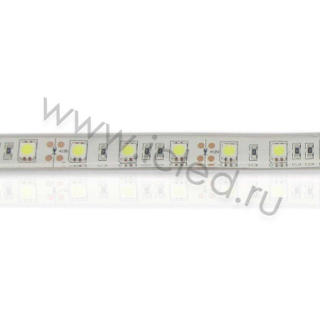 Светодиодная лента Standart PRO class, 5050, 60led/m, White, 12V, IP68