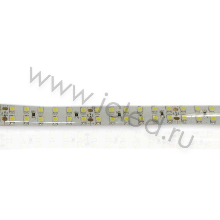 Светодиодная лента Standart PRO class, 3528, 240 led/m, Warm White, 24V, IP65