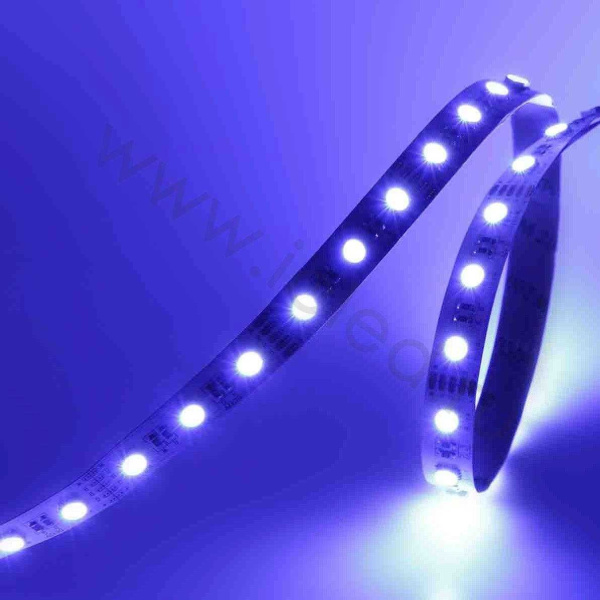 Светодиодная лента LUX class, 5050 (4 chips), 60 led/m, RGBDW, 12V, IP20, P157