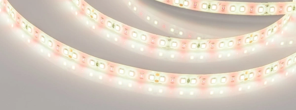 Лента FITOLUX-SE-A144-10mm 24V Day4000-Red (14 W/m, IP65, 2835, 5m) (Arlight, 14 Вт/м, IP65)