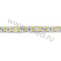 Светодиодная лента Standart PRO class, 5050, 120 led/m, Day White, 24V, IP20