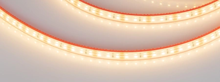 Светодиодная Лента герметичная RTW-PFS-A120-11mm 12V Warm3000 (9.6 W/m, IP68, 2835, 5m) (Arlight, -)