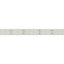 Светодиодная Лента RT 2-5000 24V Day4000 2x2 (2835, 980 LED, LUX) (Arlight, 20 Вт/м, IP20)