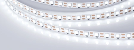 Лента RT 2-5000 12V Cx1 White6000 2x (5060, 360 LED, LUX) (Arlight, 15.6 Вт/м, IP20)