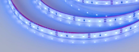 Светодиодная Лента герметичная RTW-PFS-A60-11mm 12V Blue (4.8 W/m, IP68, 2835, 5m) (Arlight, -)