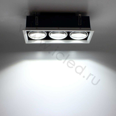 Светодиодный светильник карданный AR90-3 OD3 (220V, 3х20W, white)