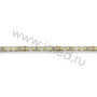 Светодиодная лента Standart PRO class, 3528, 120 led/m, Day White, 24V, IP65