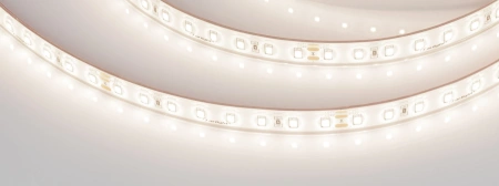 Светодиодная Лента герметичная RTW-PS-A80-12mm 24V Day4000 (4.8 W/m, IP67, TWP100, 5m) (Arlight, -)