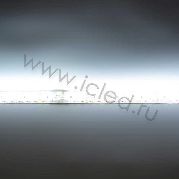 Светодиодная лента LUX class, 3528, 240 led/m, white, 24V, nano IP54 V241