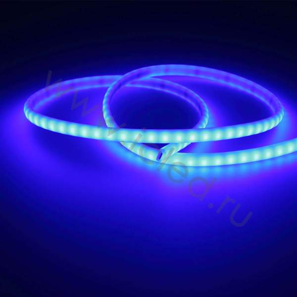 Светодиодная лента Standart Pro class 2835 120led/m, blue, 12V, IP68, N336