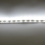 Светодиодная лента LUX сlass , 3528, 60 led/m, White,12V, C64, IP20