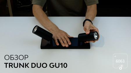 Накладной светильник Trunk Duo (RAL9003 D55 — GU10)