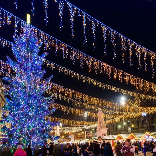 Светодиодная гирлянда ARD-EDGE-CLASSIC-2400x600-CLEAR-88LED-MILK-FLASH Warm (230V, 6W) (Ardecoled, IP65)