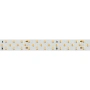 Светодиодная Лента RT 2-5000 24V Day4000 3x2 (2835, 1260 LED, LUX) (Arlight, 27 Вт/м, IP20)
