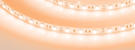 Светодиодная Лента RT-B60-10mm 12V Orange (14.4 W/m, IP20, 5060, 5m) (Arlight, Открытый)