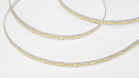 Светодиодная лента Class Premium, 2835, 240 led/m, однорядная, day white, 24V, 26W/m, IP20, A74