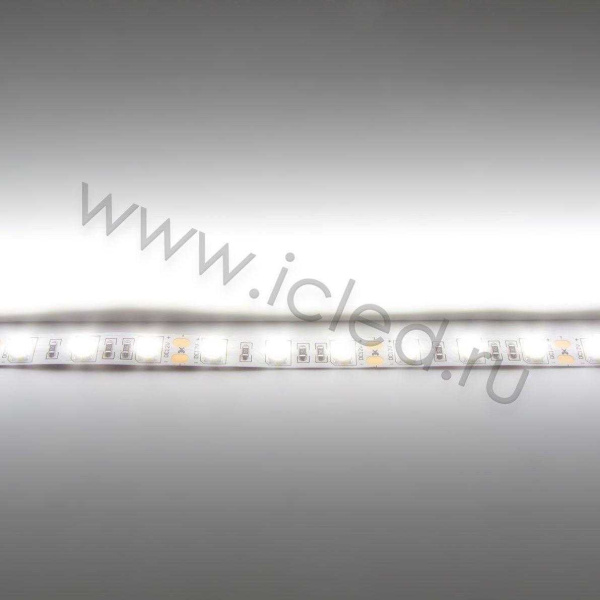 Светодиодная лента LUX class , 5050, 60 led/m, Day White,12V, IP20