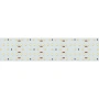 Светодиодная Лента S2-2500 24V Warm 3000K 52mm (2835, 420 LED/m, LUX) (Arlight, 30 Вт/м, IP20)