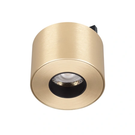 Светильник MAG-MICROCOSM-POINT-R60-5W Day4000 (BR, 36 deg, 24V) (Arlight, IP20 Металл, 3 года)