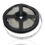 Светодиодная лента Standart PRO class, 5050, 30 led/m, RGB, 12V, IP20