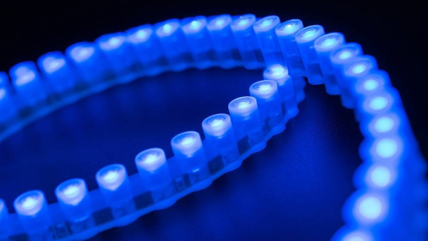 Лента светодиодная SWG SWG-DIP