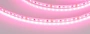 Светодиодная Лента RT-A120-8mm 24V Pink (9.6 W/m, IP20, 2835, 5m) (Arlight, -)