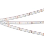 Светодиодная Лента герметичная RTW-PFS-A60-11mm 12V Warm3000 (4.8 W/m, IP68, 2835, 5m) (Arlight, -)
