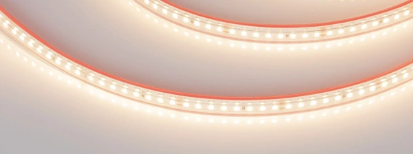 Светодиодная Лента герметичная RTW-PS-A160-10mm 24V Warm3000 (12 W/m, IP67, 2835, 5m) (Arlight, 12 Вт/м, IP67)