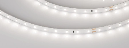 Светодиодная Лента IC-A60-10mm 24V Day5000 (4.6 W/m, IP20, 2835, 30m) (Arlight, 4.6 Вт/м, IP20)