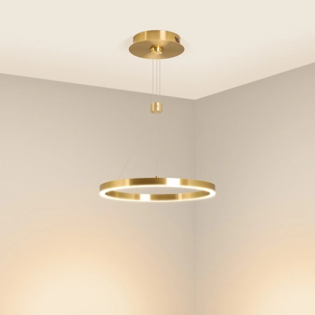 Светильник SP-CONGO-CAN-1-R400-24W Warm3000 (GD, 120 deg, 230V) (Arlight, IP20 Металл, 5 лет)