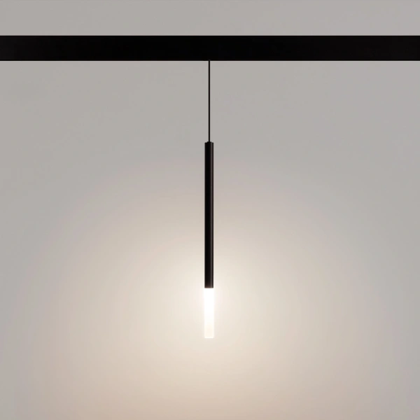 Светильник MAG-ORIENT-STICK-HANG-R20-6W Day4000 (BK, 180 deg, 48V) (Arlight, IP20 Металл, 5 лет)