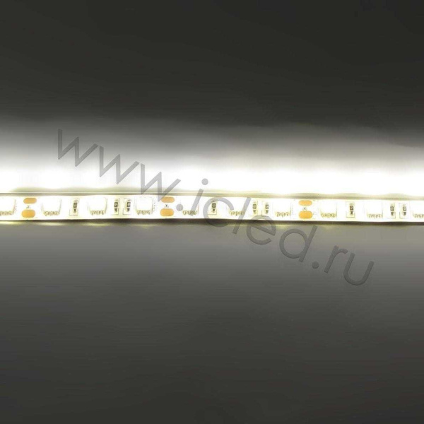 Светодиодная лента Standart class, 3528, 60led/m, Yellow, 12V, IP65