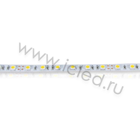 Светодиодная лента  Standart PRO class, 5050, 60led/m, Warm White, 24V, IP20