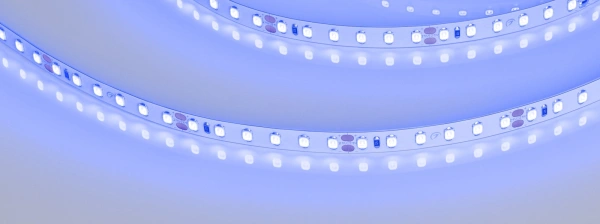 Светодиодная Лента RT-A120-8mm 24V Blue (9.6 W/m, IP20, 2835, 5m) (Arlight, 9.6 Вт/м, IP20)