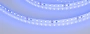 Светодиодная Лента RT-A120-8mm 24V Blue (9.6 W/m, IP20, 2835, 5m) (Arlight, 9.6 Вт/м, IP20)
