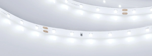 Светодиодная лента Лента RT-A60-8mm 24V Day5000 CRI98 (4.8 W/m, IP20, 2835, 5m) (Arlight, 4.8 Вт/м, IP20)