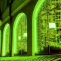 Светодиодная гирлянда ARD-CURTAIN-CLASSIC-2000x3000-CLEAR-760LED Green (230V, 60W) (Ardecoled, IP65)