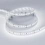 Светодиодная Лента RT 2-5000 24V White6000 3x (2835, 840 LED, LUX) (Arlight, 17 Вт/м, IP20)