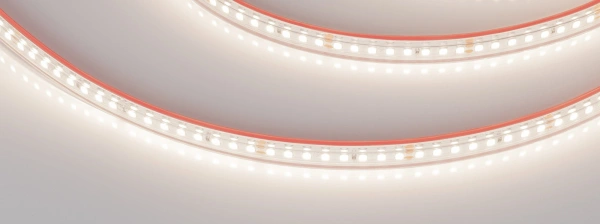 Светодиодная Лента герметичная RTW-PS-A160-10mm 24V Day4000 (12 W/m, IP67, 2835, 5m) (Arlight, 12 Вт/м, IP67)