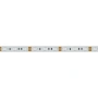 Светодиодная Лента RT 2-5000 12V Blue 2x (5060, 300 LED, LUX) (Arlight, 14.4 Вт/м, IP20)
