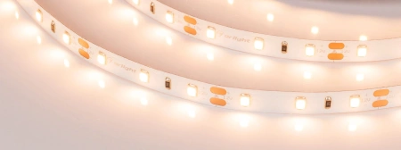 Светодиодная лента Лента RT-A60-8mm 12V Warm2700 CRI98 (4.8 W/m, IP20, 2835, 5m) (Arlight, 4.8 Вт/м, IP20)