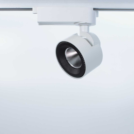 Светодиодный светильник трековый JH-GDD-Z80 2L PX73 (10W, 220V, Warm White)