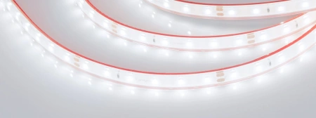 Светодиодная Лента герметичная RTW-PFS-A60-11mm 24V White6000 (4.8 W/m, IP68, 2835, 5m) (Arlight, 4.8 Вт/м, IP68)