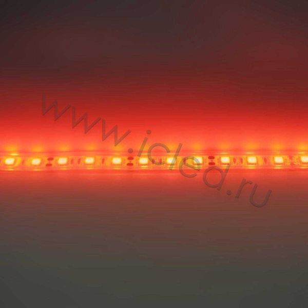 Светодиодная лента Standart PRO class, 5050, 60led/m, Red, 12V, IP68