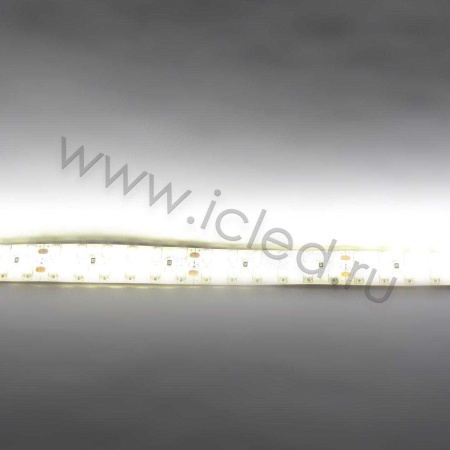 Светодиодная лента Standart PRO class, 3528, 240 led/m, Warm White, 24V, IP65
