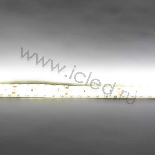 Светодиодная лента Standart PRO class, 3528, 240 led/m, Warm White, 24V, IP65