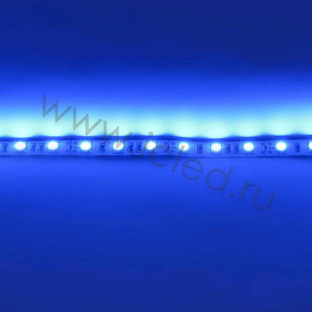 Светодиодная лента  Standart PRO class, 5050, 60led/m, Blue, 12V, IP20